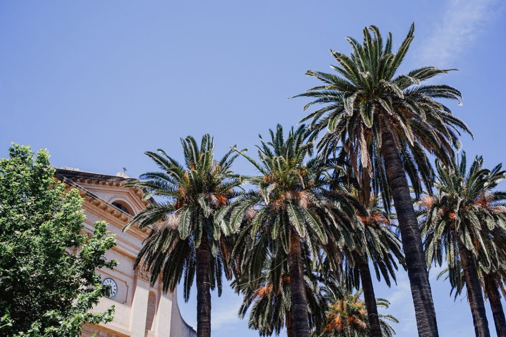 Palmeras ante la fachada de una iglesia clara en Córcega