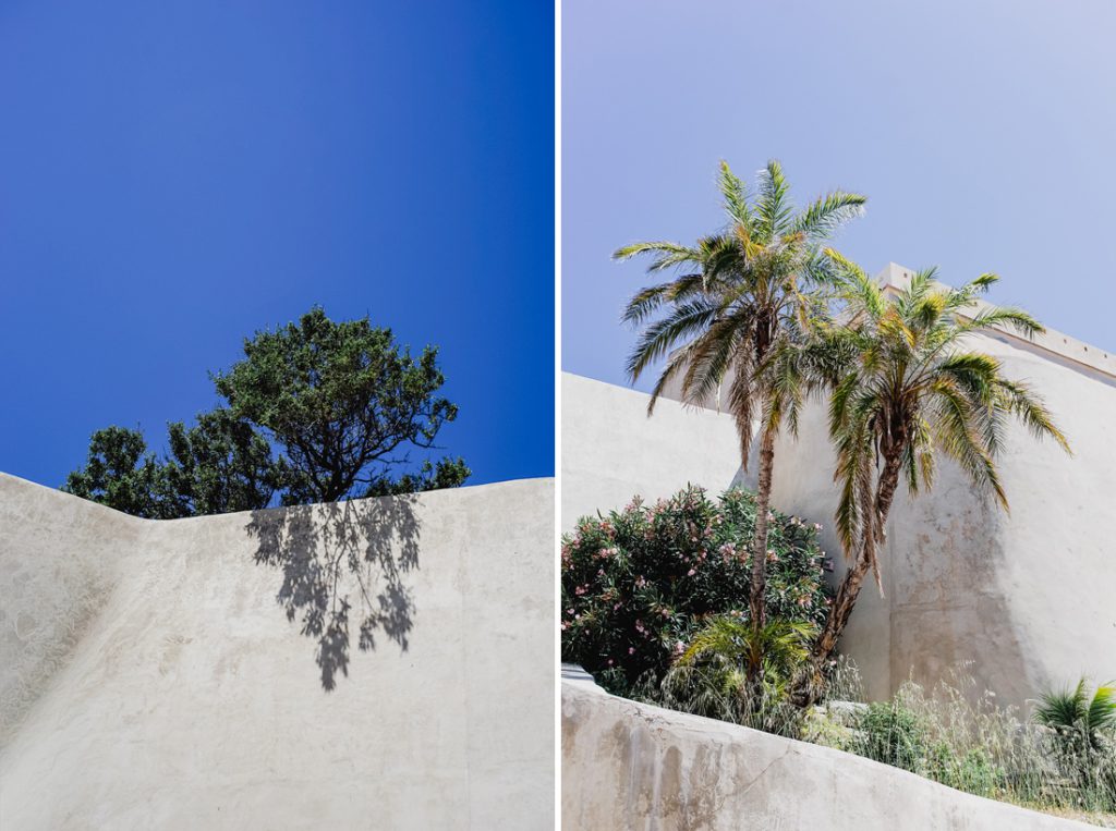 Dos fotos: sombra de un árbol sobre un muro blanco y palmeras delante en Córcega
