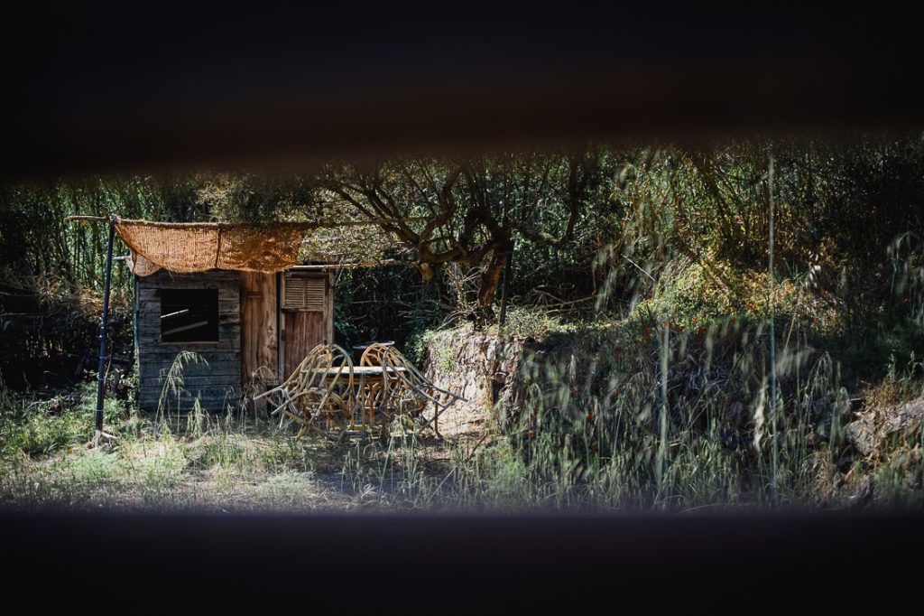 Cabaña de madera con sombrilla de rafia y sillas curvas entre la hierba alta en Córcega