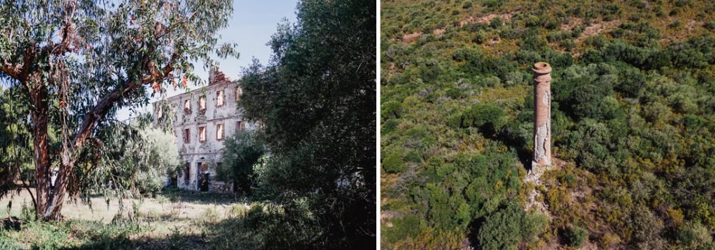 Dos fotos en Córcega: casa en ruinas entre árboles y una chimenea en el maquis