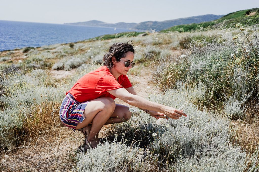 Mujer con camiseta roja agachada entre hierbas plateadas sobre el mar en Córcega