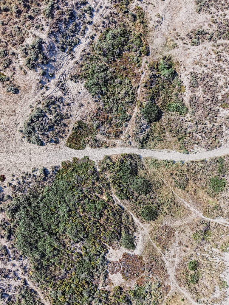Pista de arena entre maquis bajo, en vertical desde el aire en Córcega