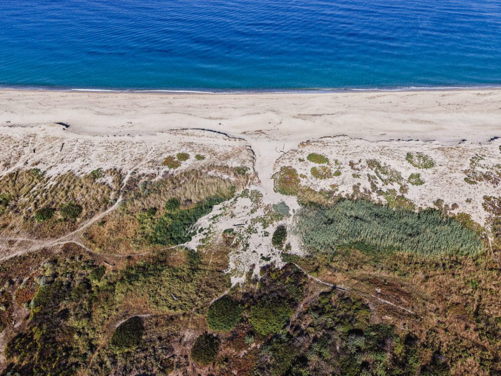 Dunas, senderos y una franja de playa, en vertical desde el aire en la costa de Córcega