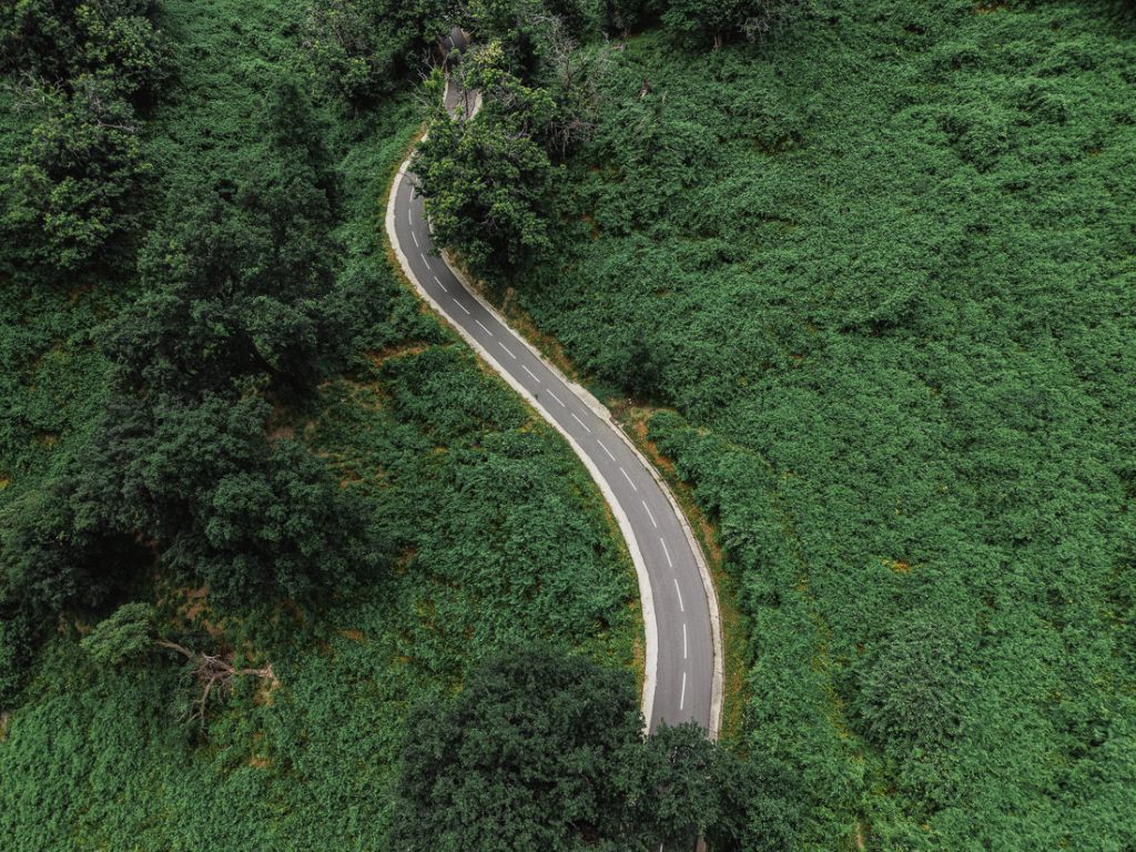 Curva en S de una carretera entre un denso bosque verde, desde el aire, en Córcega