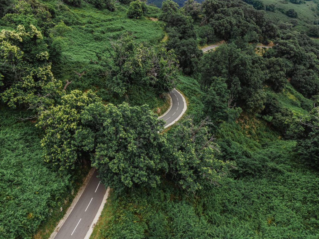 Curva cerrada de una carretera entre árboles frondosos, desde el aire, en Córcega