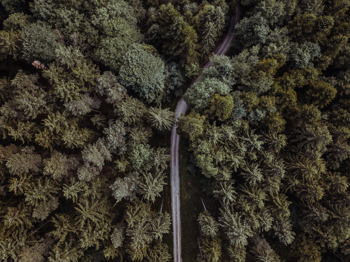 luftbild drohne bodensee gehrenberg wald 0002 - Luftaufnahmen vom Gehrenberg
