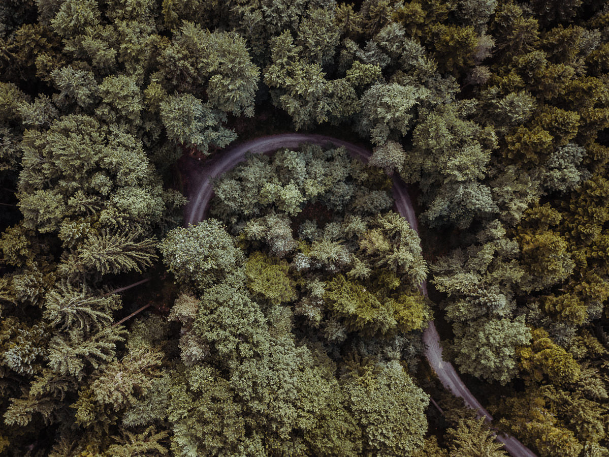 luftbild drohne bodensee gehrenberg wald 0003 - Luftaufnahmen vom Gehrenberg