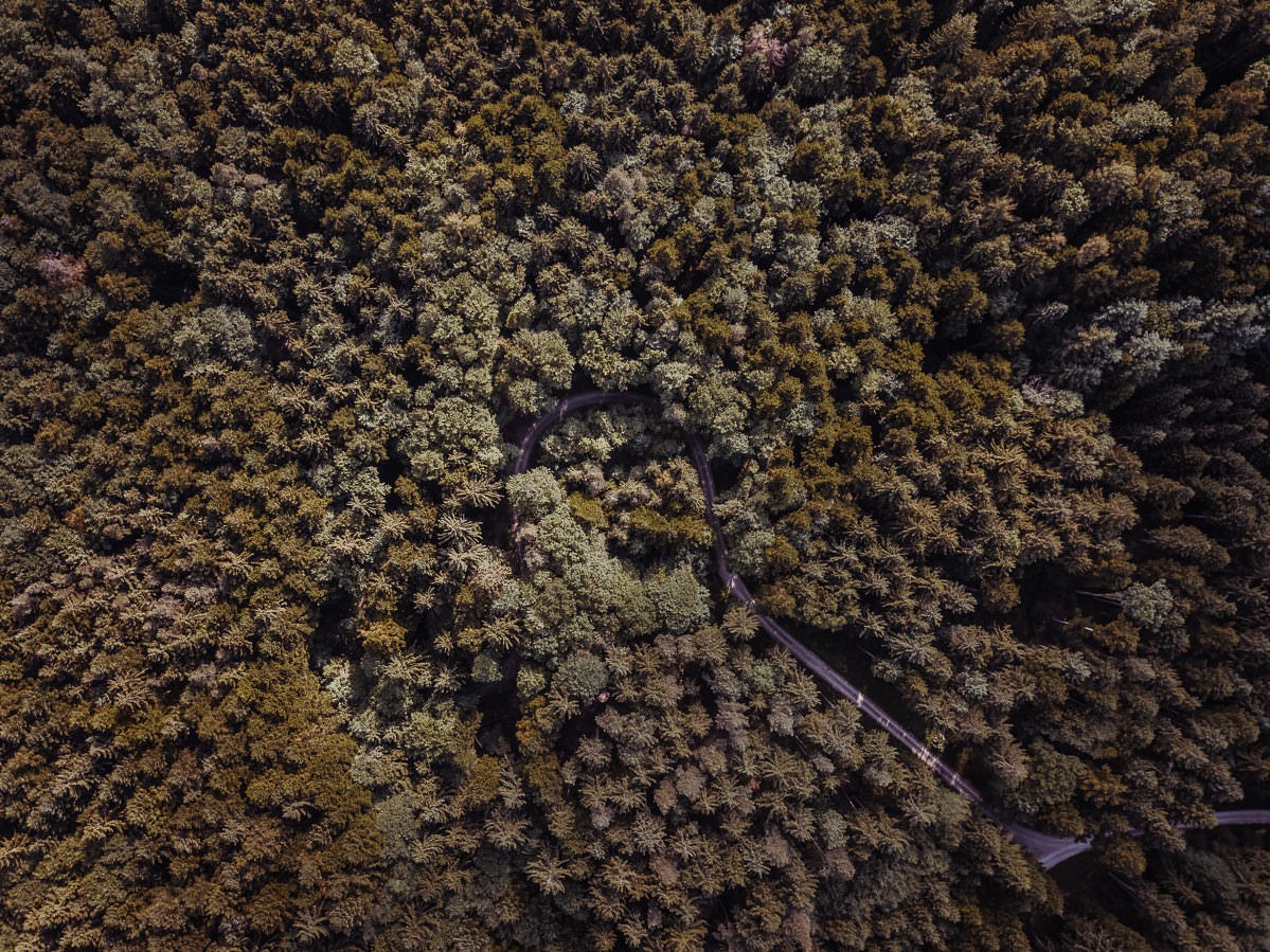 luftbild drohne bodensee gehrenberg wald 0006 - Luftaufnahmen vom Gehrenberg