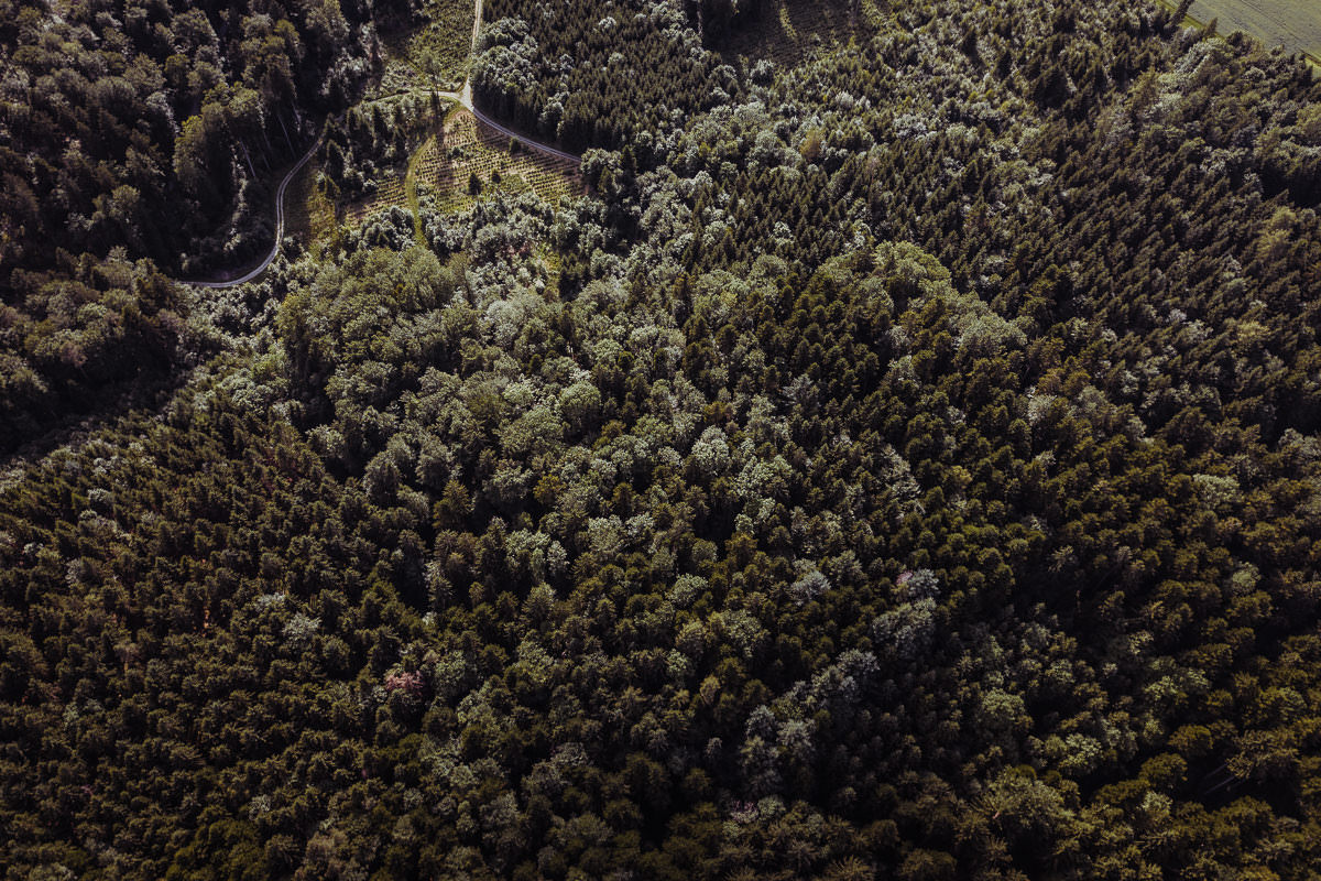 luftbild drohne bodensee gehrenberg wald 0007 - Luftaufnahmen vom Gehrenberg
