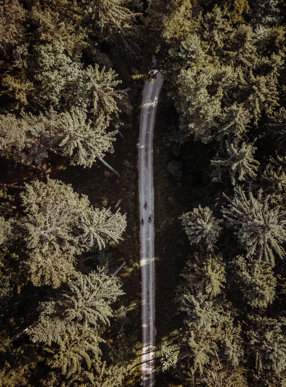 luftbild drohne bodensee gehrenberg wald 0008 - Luftaufnahmen vom Gehrenberg