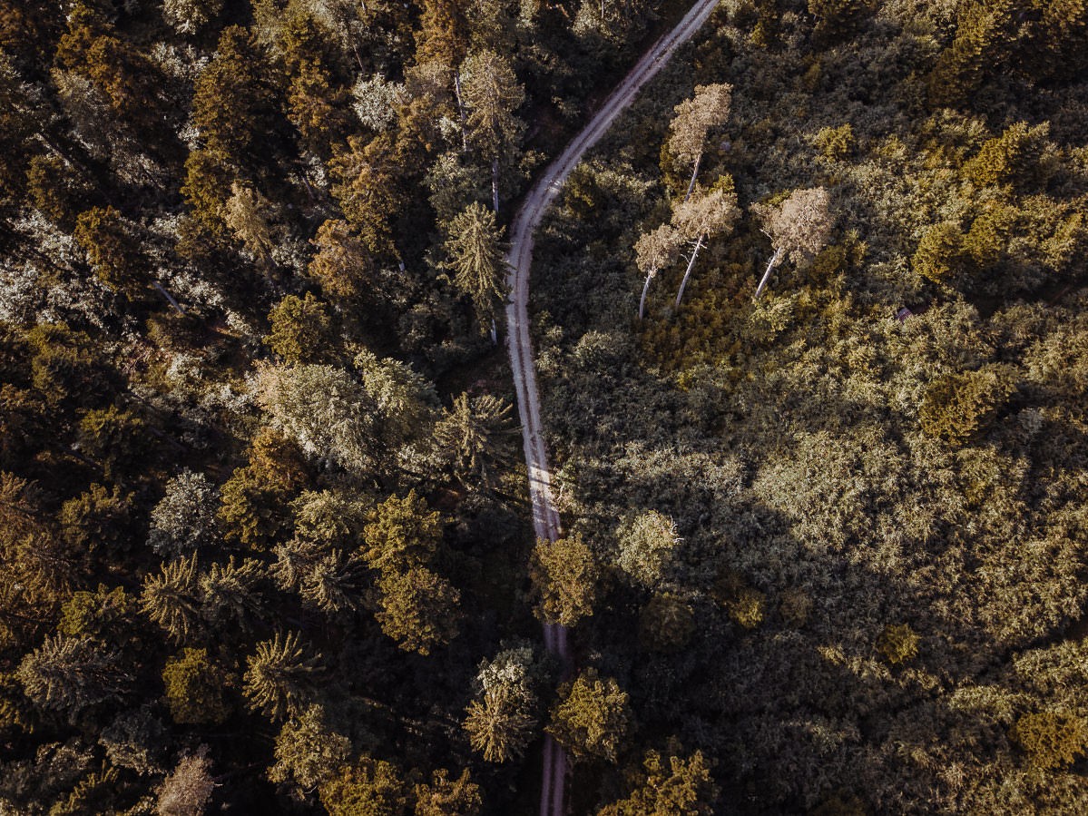 luftbild drohne bodensee gehrenberg wald 0011 - Luftaufnahmen vom Gehrenberg