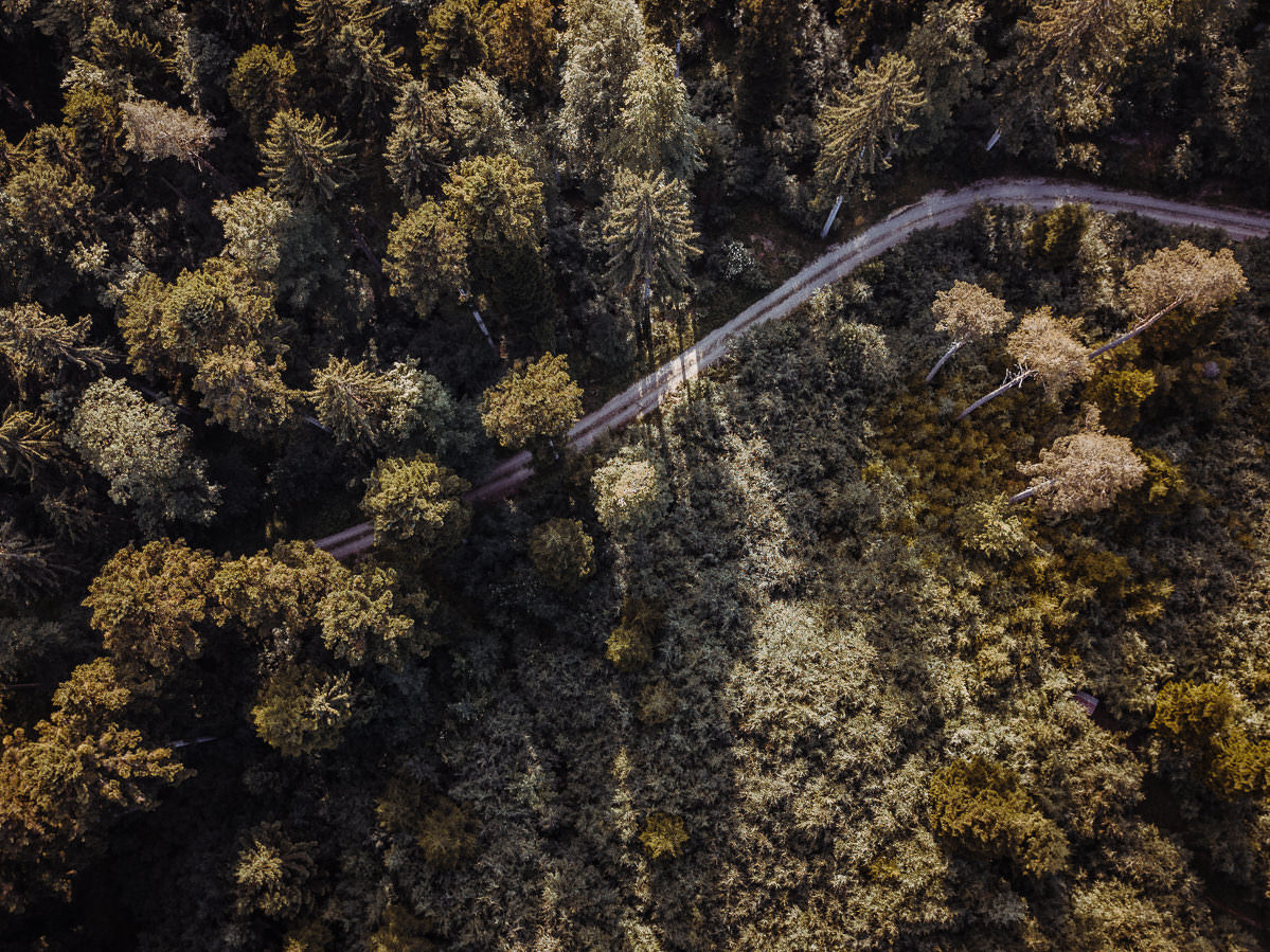 luftbild drohne bodensee gehrenberg wald 0012 - Luftaufnahmen vom Gehrenberg