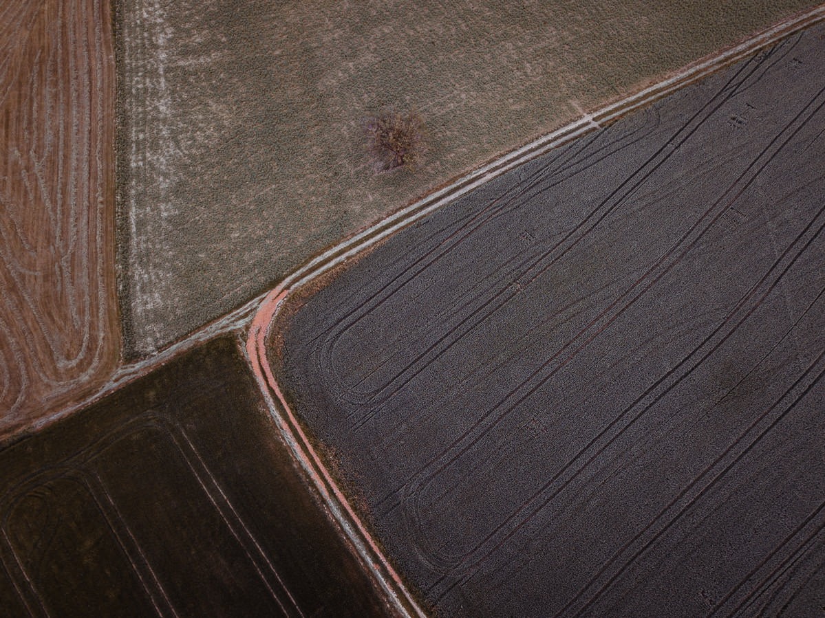 luftbild drohne bodensee gehrenberg wald 0018 - Luftaufnahmen vom Gehrenberg